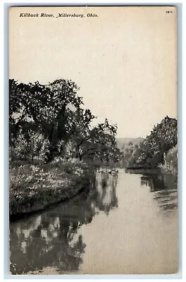 Millersburg Ohio Postcard Killbuck River Scenic View Trees 1911 Vintage Antique • $14.95