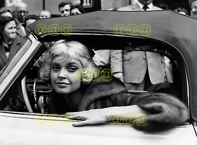 Photo - Nadja Tiller During Filming  Rosemary  1958 • $6.16