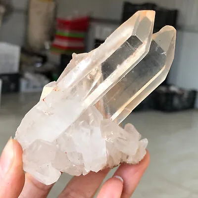 207g Natural White Clear Quartz Crystal Cluster Mineral Specimen Healing N26 • $15.50