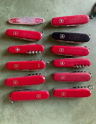 LOT Of 12 SWISS ARMY VICTORINOX Knives - Hiker Camper & More • $99