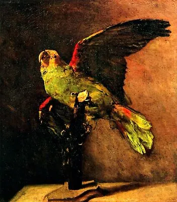 Parrot By Vincent Van Gogh Art Painting Print • $10.99