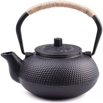 TEAPOT Tea Kettle Pot With Stainless Steel Infuser Cast Iron 650ml SUYIKA • £46.84