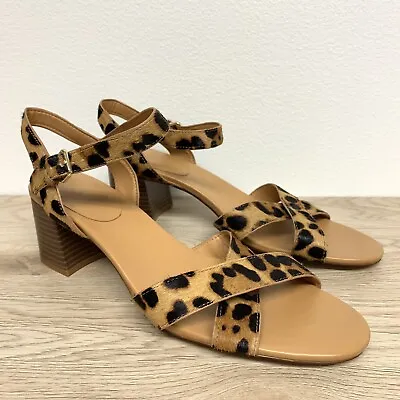 J Crew Leopard Calf Hair Low Block-Heel Sandals Size 11 NEW $108 • $49.99