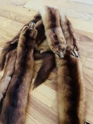 Vintage Fox Mink Stole Scarf Capitol Fur Shop 1960s Vtg Fancy Winter Scarves • $89.99