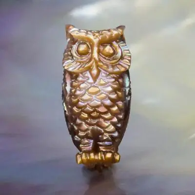 Owl Design Figurine Carved Bronze Penguin Wing Oyster Shell For Collection 2.88g • $29.95