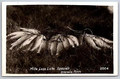 Onamia Minnesota~Fish Catch In Mille Lacs Lake~Walleye & Bass~1950s RPPC • $14