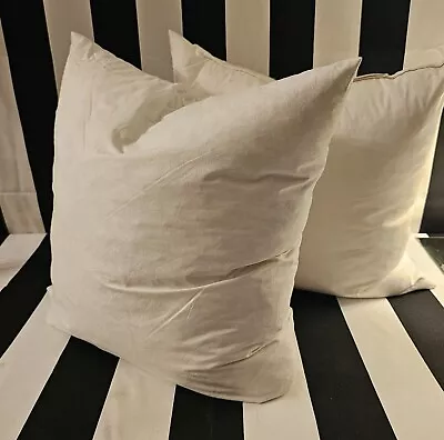 Pottery Barn And Unbranded Goose Feather Pillow Insert Set 2 White 20 In  Pair • $9.99