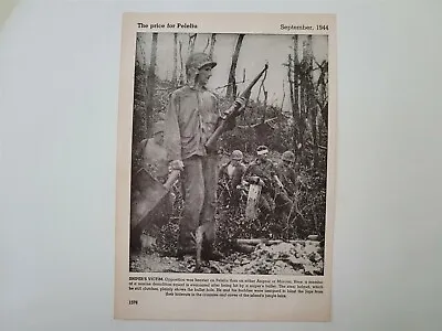 Peleliu Marine Demolition Squad 1944 World War 2 WW2 Picture Sheet • $16