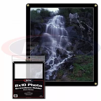 BCW Holder For 8x10 Photo / Banknote 4 Screwdown Black Frame Wall Mount Plastic • $22.90