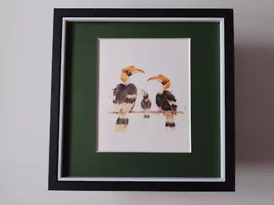 Hannah Dale Wildlife Print 'Great Hornbill' Bird  FRAMED • £22