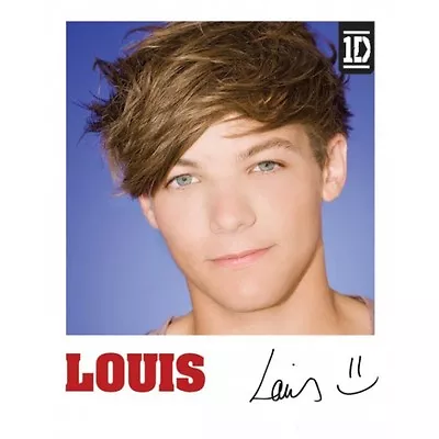 £3.49 • Buy Poster Louis 1D One Direction FOLDED Claires Claire's Accessories OD4 MPP50456