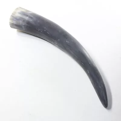 1 Raw Unfinished Cow Horn #2241 Natural Colored • $23