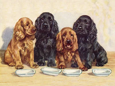 Cocker Spaniel Dog Greetings Note Card Four Dogs Waiting By Their Food Bowls • £2.50