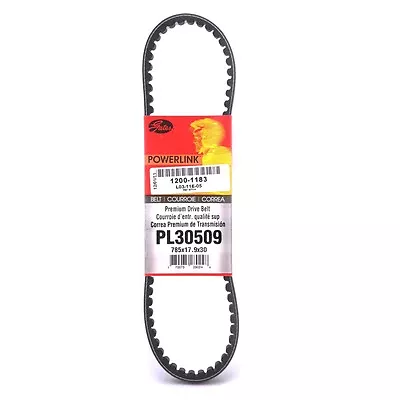 Gates Premium Belt 785 X 17.9 X 30 For Honda Ruckus  • $22.45