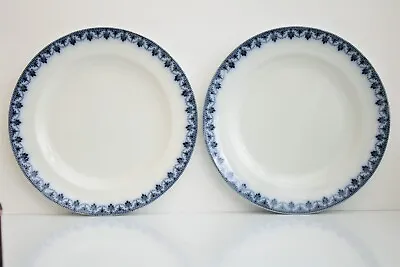 Sampson Hancock & Son Wolsley Pattern Pair Of Plates Blue Border 26.5cm Wide • £9.95