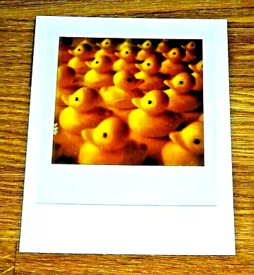 The Impossible Spectrum Project Photograph Postcard ~ Yellow Rubber Ducks ~ New • £1.50