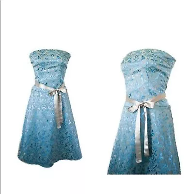 Marie Antoinette French Blue Brocade Dress | Small • $55