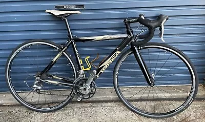 $200 • Buy Orbea Asphalt Road Bike Shimano 105, Carbon Forks, Look Pedals
