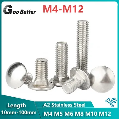 M4 M5 M6 M8 M10 M12 Carriage Bolts Cup Square Dome Coach Screws A2 Stainless • £1.60