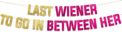 Funny Hen Party Gold Glitter Banner - Bachelorette Party Decorations Favors And • $28.11