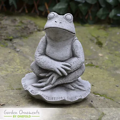 Frog Toad Hand Cast Stone Garden Ornament Statue Very Detailed Best Quality Gift • £48.90