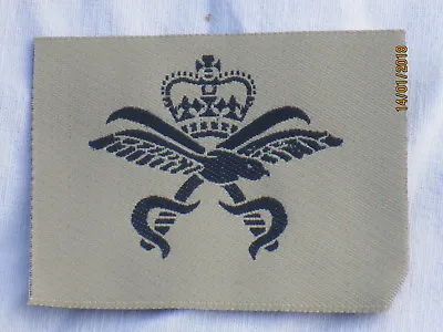 £3.70 • Buy Royal Air Force, Physical Training Instructor, Khaki, Force Fitness Instructor
