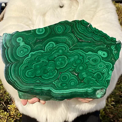 8.28LB Natural Malachite Slice Quartz Crystal Luster Mineral Specimen • $0.99