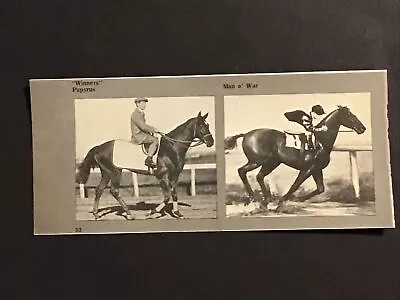 MAN O’ WAR  PAPYRUS  Photo  Horse Racing  CHAMPIONS • $5.99