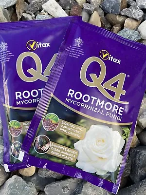 Rootmore Mycorrhizal Fungi Root Boosting Vitax Q4 60g Twin Pack Free Postage • £7