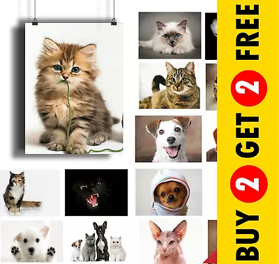 £3.99 • Buy ANIMALS PET FRIENDS CUTE DOG & CAT BREEDS POSTERS A3 A4 A5 * Vet Wall Art Prints