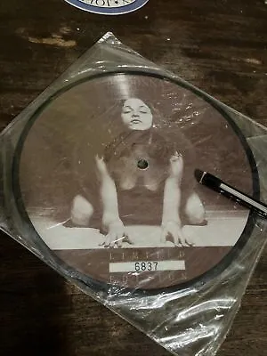 MADONNA INTERVIEW 7  Single Rare Madonna Uncensored Vinyl Record Picture Disc 45 • $21.99