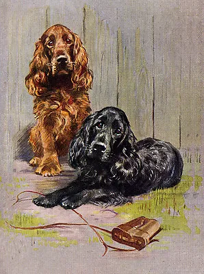 Cocker Spaniel One Golden & One Black Charming Dog Greetings Note Card Two Dogs • £2.50