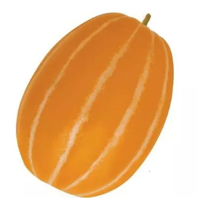10 Korean Melon Seeds - Rare Orange Skinned Melon - Dae Jang Geum • $8.69