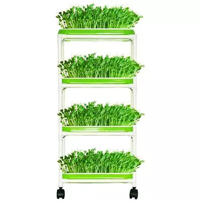 4 Layers Sprout Trays With Extra Strength Plastic Shelf Soil-free Healthy Wheatg • $41.03