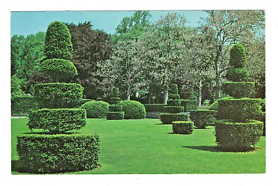 Postcard LONGWOOD GARDENS Topiary Garden Pennsylvania. B • $3.99