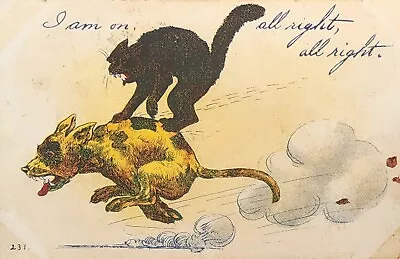1907 Picture Postcard ~ Black Cat Riding Dog's Back  I'm On All Right . #-4645 • $3.15