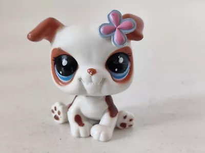 LPS Littlest Pet Shop #2106 White Flower Bulldog Hasbro Free Shipping Worldwide • £9.99