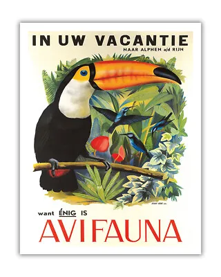 Avifauna Bird Park (Alphen Aan Den Rijn) Holland - Vintage Travel Poster C.1951 • $22.98