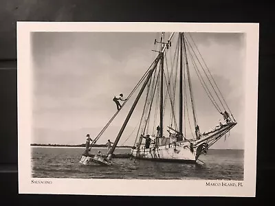 Postcard Unposted Florida Marco Island-salvaging A Ship In 1904 -repro • $5
