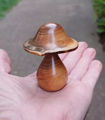 Small Yew Wood Mushroom With Live Edge Cap WOW!~Dovecote~ (660)  • $26