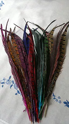 Pack Of 2 PHEASANT TAIL FEATHERS - Approx 10/ 12 Inches - Choice Of Shades • £2.88