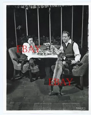 Judy Garland Vintage Original MGM Photo 1940s David Rose Husband Excellent RARE • $75