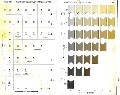 Pantone Munsell Soil Color Book 2.5Y Replacement Page 2000 Revised • $34.99