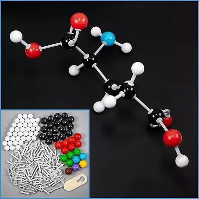 Molecular Model 184pc Set Organic Chemistry Science Atom Molecules & Links Kit • $68.22