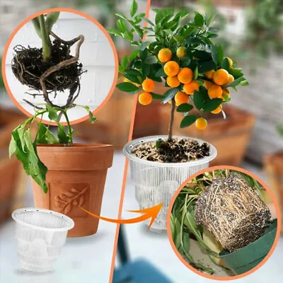 $13.56 • Buy 10/12/15cm Orchid Clear Flower Pot Plastic Slotted Breathable Orchid Pots