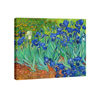 Irises By Van Gogh Fine Art Painting Reproduction Canvas Print Picture Framed • $4.99