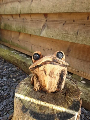 £24.99 • Buy Chainsaw Carved Frog