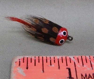 Scarce Marathon Or Webber Popper Beetle RH  Original Feathers • $34.95