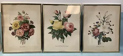 Vintage Botanical Prints Framed (3) 18.5”x14.5” • $100