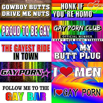 Gay Pride Funny Magnet Bumper Sticker Rainbow Pride Prank Magnetic Sign For Veh • $19.86